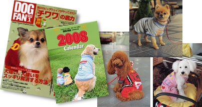 DOG FANカレンダー